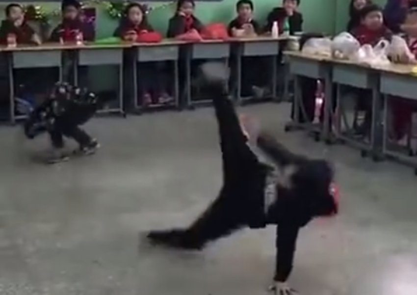 小男孩在教室大显身手表演“街舞”获高赞，网友：说好的随便跳呢